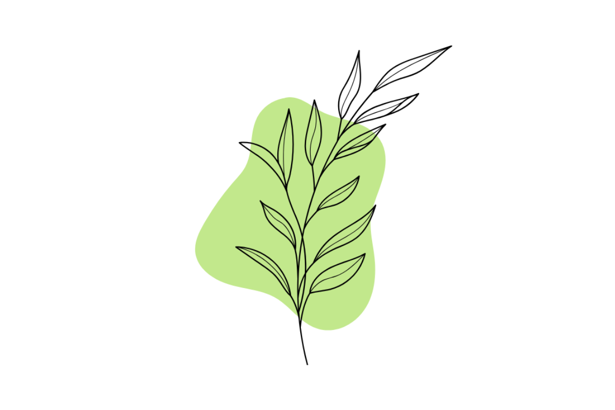 A minimalist line art illustration of a leafy branch over a light green abstract shape on a white background.