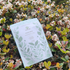 Immune Shield Tea Blend
