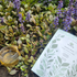 Immune Shield Tea Blend